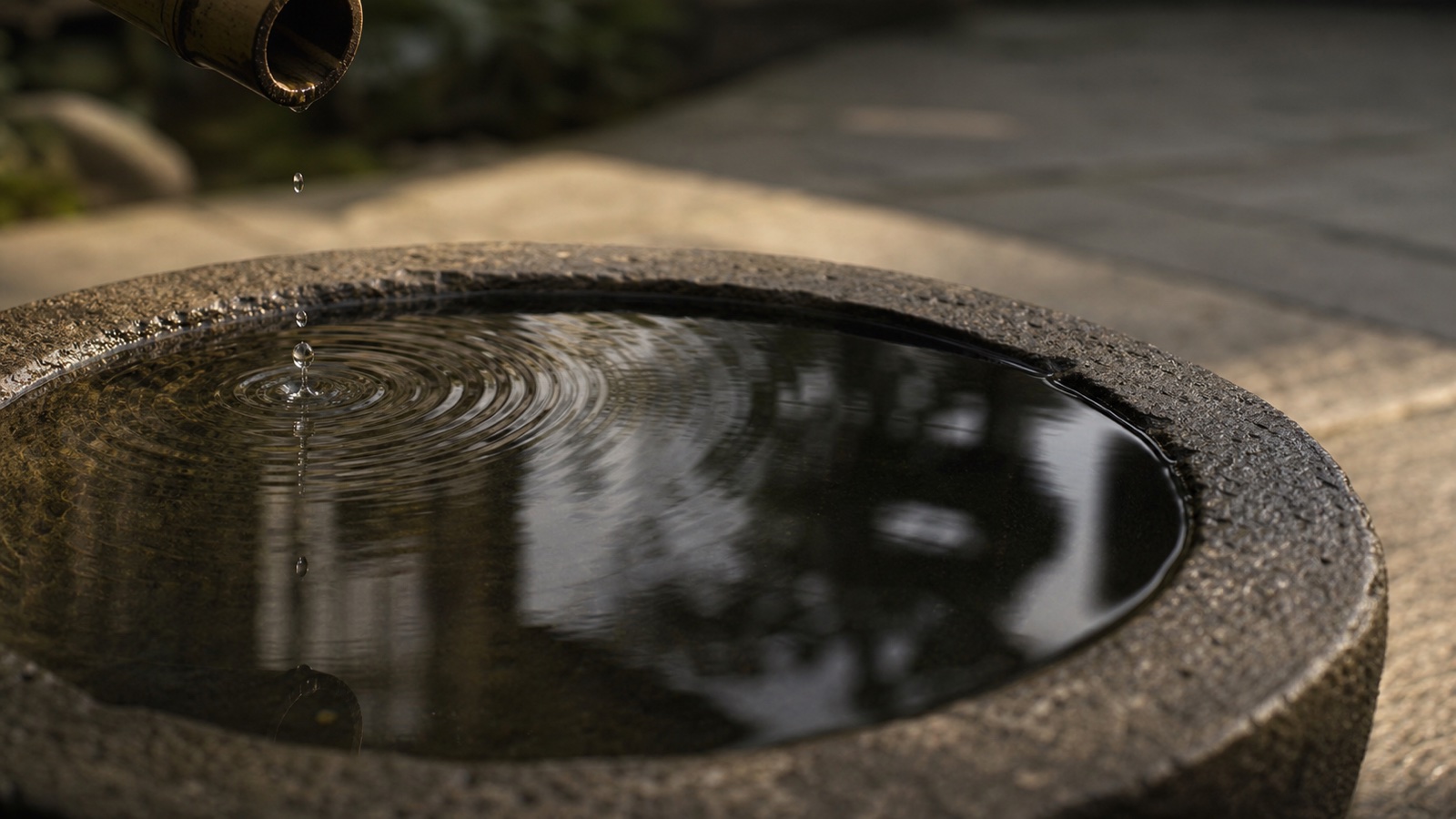 A single water droplet creating widening ripples in a dark stone basin
