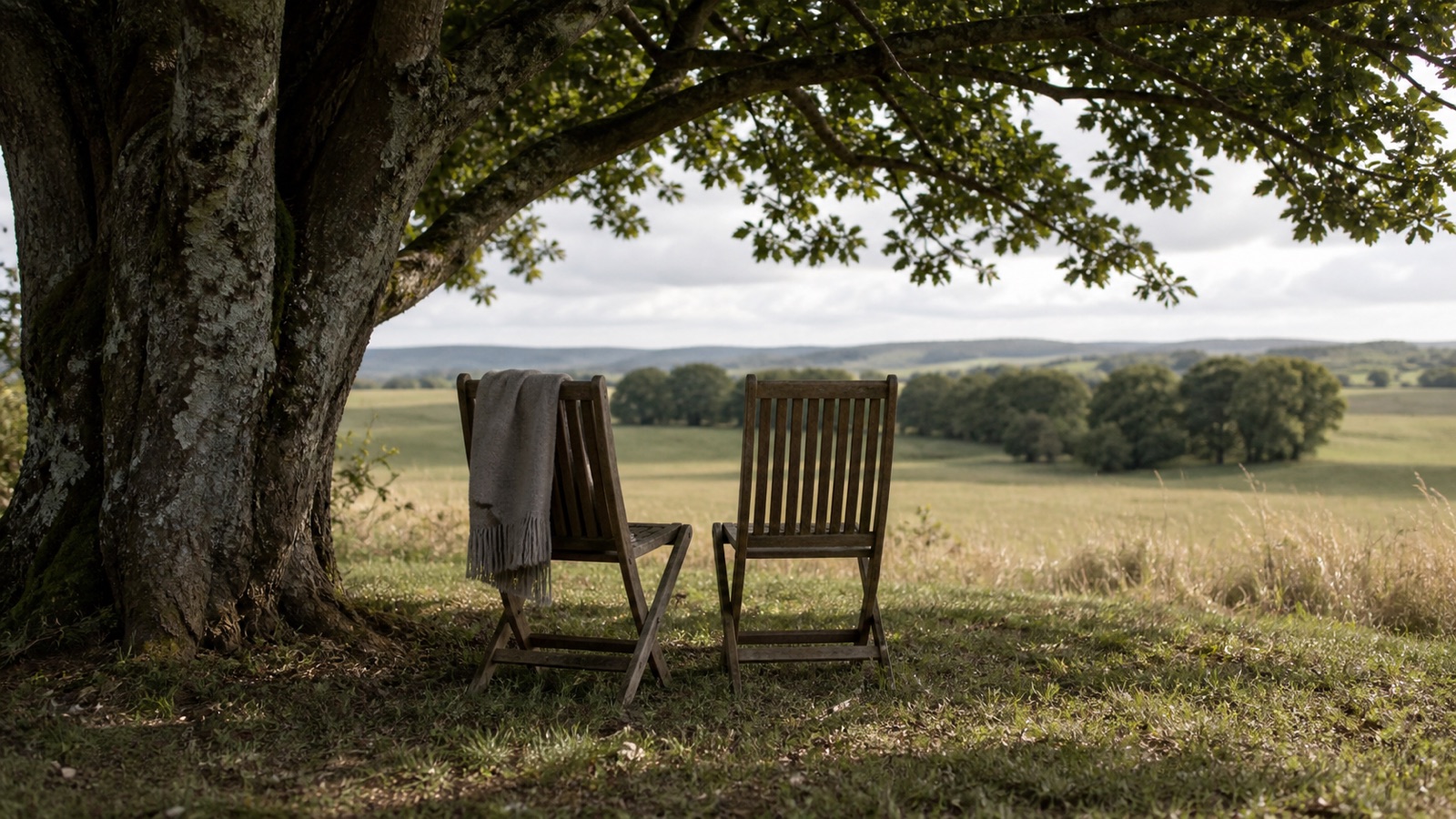 Two wooden chairs side by side beneath a tree facing a quiet meadow