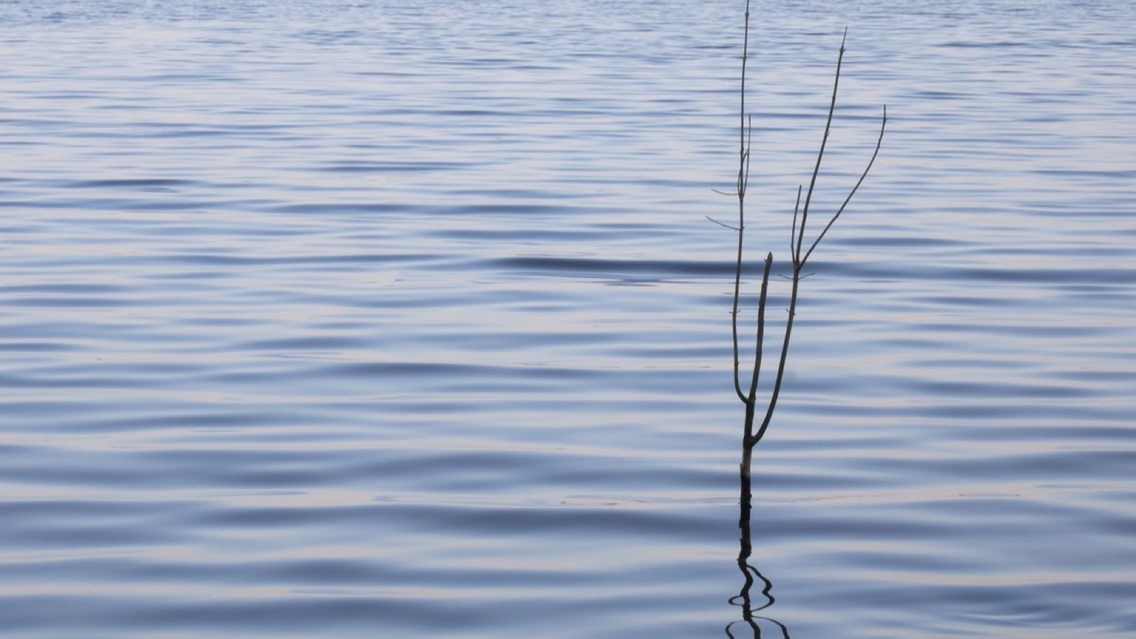The Silent Founder: How Quiet Leaders Lead